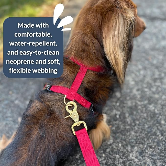 DJANGO Adventure Dog Harness - Stylish and Durable Medium Dog Harness for Outdoor Adventures and Everyday Wear - Red Neoprene Adjustable Harness for Dogs with Reflective Piping, Solid Brass D-Ring