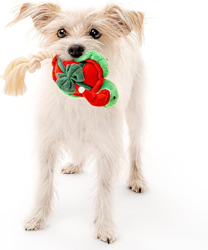 Dog Toys | Holiday Plush Toy Turtle Stuffed Animal for Dogs | Small Eco Friendly Toy - Easy to Clean and Made from Non Toxic Materials