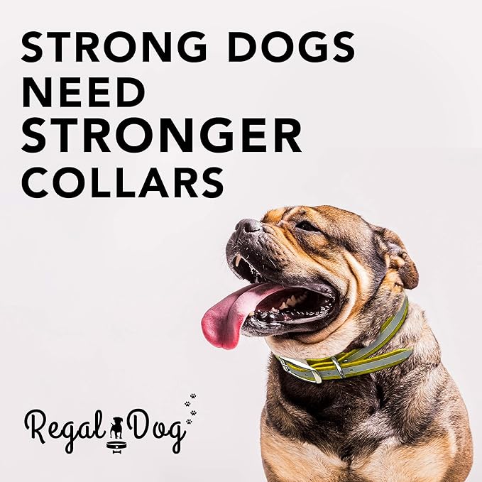 Regal Dog Products Medium Yellow Heavy Duty Reflective Dog Collar with Durable Metal Buckle and D Ring Adjustable, Chew Proof & Waterproof Center Ring | Strong Small Dog Collar