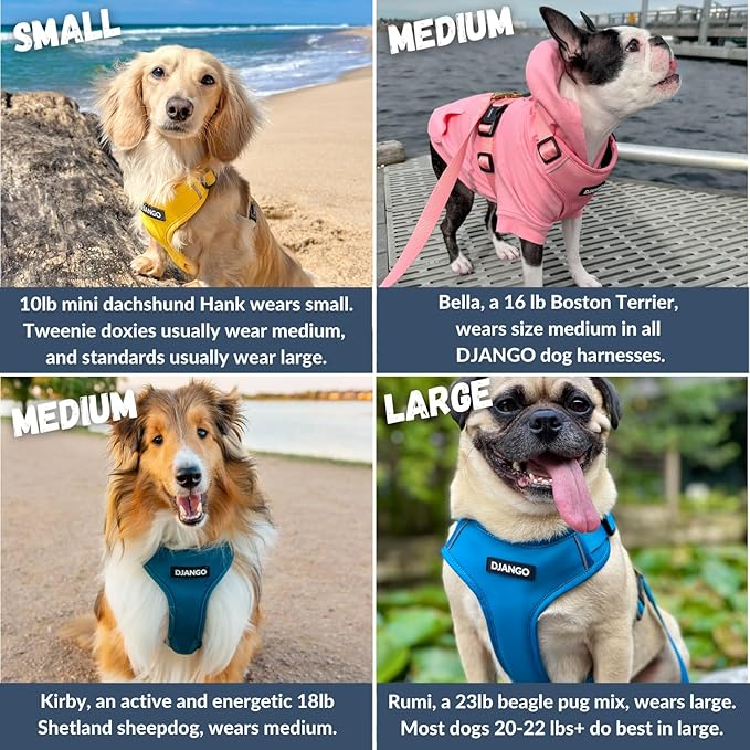 DJANGO Adventure Dog Harness - Stylish, and Durable Large Dog Harness for Outdoor Adventures and Everyday Wear - Quartz Pink Neoprene Adjustable Harness for Dogs with Reflective Piping, Brass D-Ring