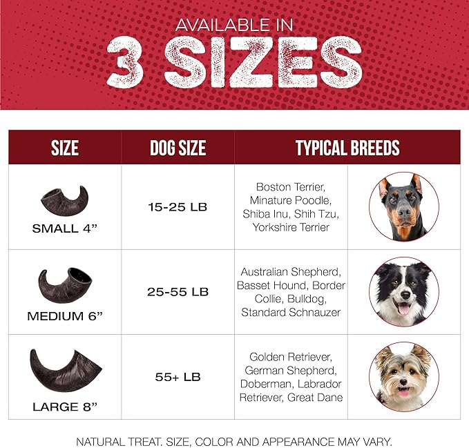 Water Buffalo Horn Dog Chew 4 Pack - Large 8" - All Natural Free Range Grass Fed Single Source Protein - No Chemicals, Additives, Hormones - Long Lasting, Good for Aggressive Chewers – by Fang & Claw