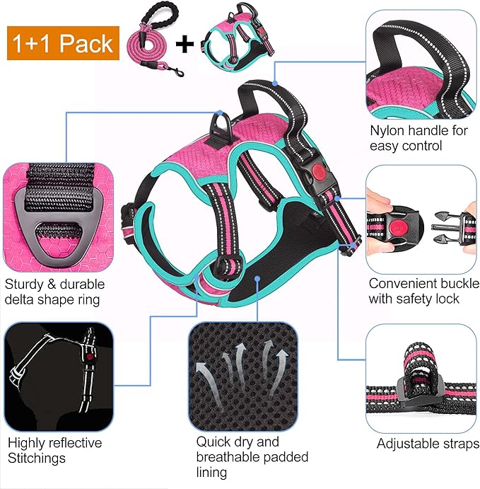 No Pull Dog Harness Adjustable Reflective Oxford Easy Control Medium Large Dog Harness with A Free Heavy Duty 5ft Dog Leash (S (Neck: 14"-17", Chest: 18.5"-20"), Pink/Blue Harness+Leash)