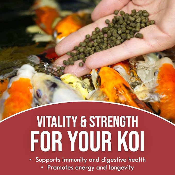 Koi Vital Color Extra Swim Fish Food (4 Pack 2.5lb)