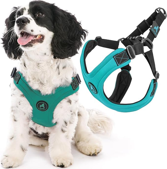 Gooby Escape Free Sport Harness - Turquoise, Medium - No Choke Step-In Patented Neoprene Small Dog Harness, Four-Point Adjustment - Perfect on the Go Dog Harness for Medium Dogs No Pull and Small Dogs
