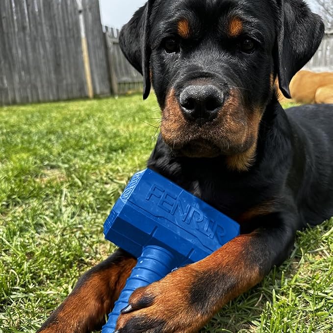 Fenrir Hammer Dog Chew Toy Strong Rubber Stuffable Enrichment Toy for Chewers (Blue, Medium)