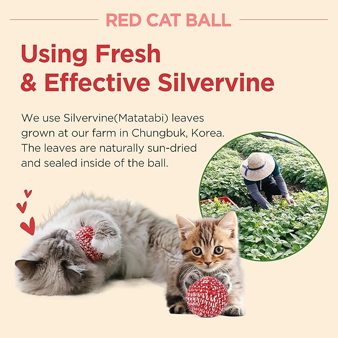 JAYU PET Red Cat Ball [W/Bell Version] - Handmade Silvervine Cat Toy with Catnip, Interactive Matatabi Ball for Indoor Cats & Kittens, Feline Play Toy & Gift (2.7 inch)