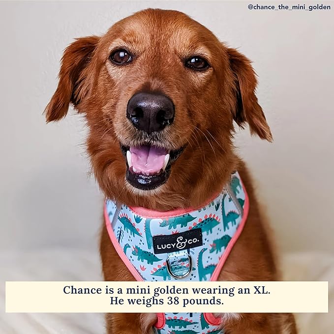 Lucy & Co. The DinoROAR No-Pull Dog Harness - Size X-Small - Vest to Stop Pulling & Walk Easy - Comfortable Leash Training Product w/Adjustable Chest & Neck Straps