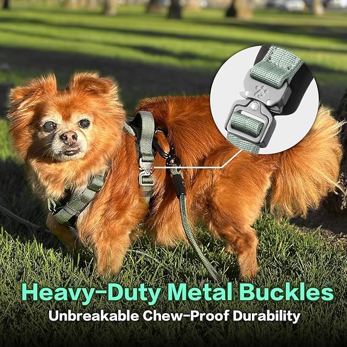 CLEPAWS Dog Harness for Small Dogs, No Pull Dog Harness Easy Walk with Metal Hardware, Ergonomic Y-Shaped Design, Soft Padding, Padded Handle, Durable High-Tensile Nylon (Seabreeze, S)