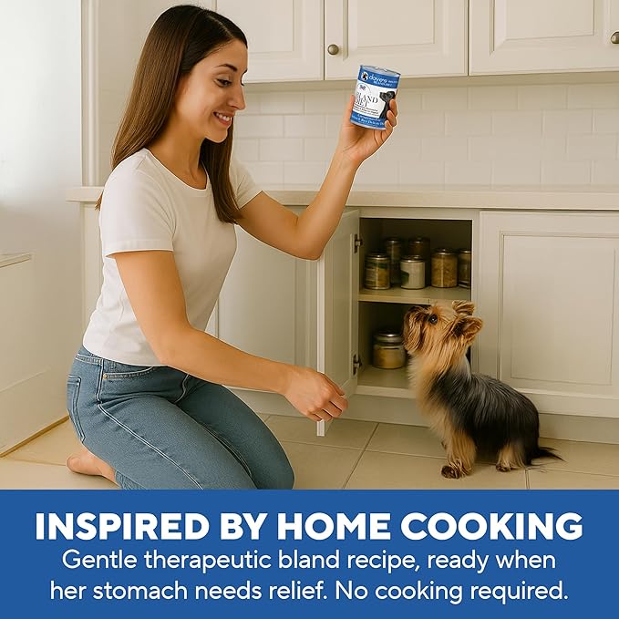 Dave's Pet Food Bland Diet Dog Food (Chicken & Rice), Sensitive Stomach, Easy to Digest, Gluten-Free, Digestive Care, Wet Canned, 13.2 oz (Case of 12)