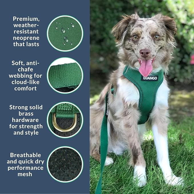 DJANGO Adventure Dog Harness - Stylish and Durable Large Dog Harness for Outdoor Adventures and Everyday Wear - Forest Green Neoprene Adjustable Harness for Dogs with Reflective Piping & Brass D-Ring