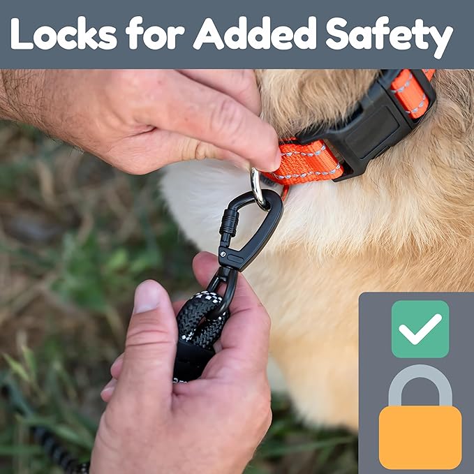 Premium 6 Ft Dog Leash - Two Extra Padded Handles, Heavy Duty Leashes for Medium Dogs to Large Breeds, Reflective, Shock-Absorbing, Anti-Pull Rope Leash, Strong Pet Lead for Everyday Walks - Roam Gear