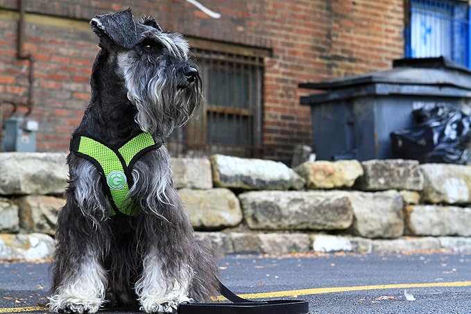 Gooby Comfort X Head in Harness - Green, Small - No Pull Dog Harness with Patented Choke-Free X Frame for Small to Medium Dogs Indoor/Outdoor Use