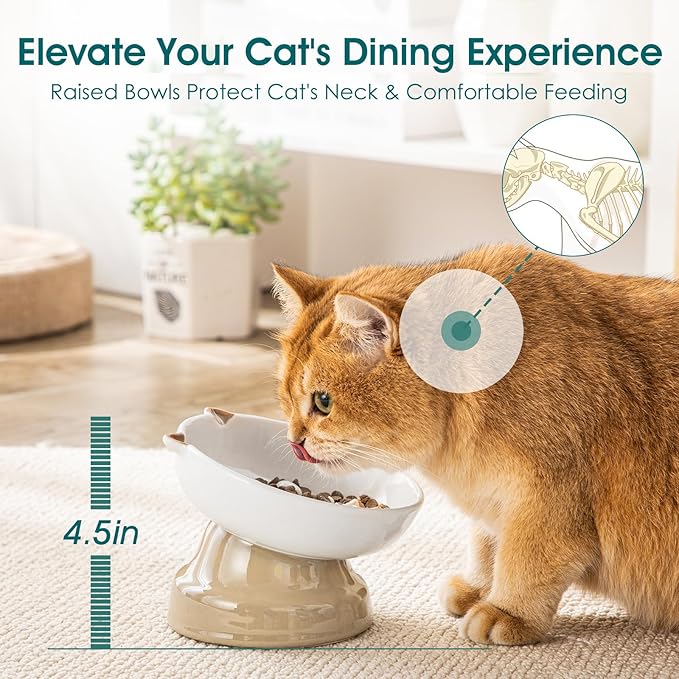 vancasso Raised Slow Feeder Cat Bowls, Ceramic Elevated Cat Bowls Wet Food, Cats Food Bowl Slow Feeder for Indoor Cats (Brown)