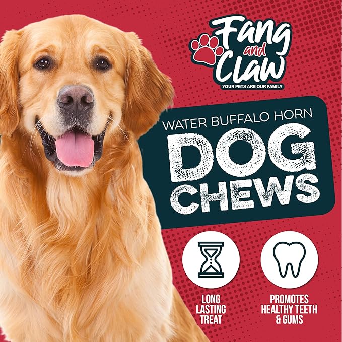 Water Buffalo Horn Dog Chew 4 Pack - Small 4" - All Natural Free Range Grass Fed Single Source Protein - No Chemicals, Additives, Hormones - Long Lasting, Good for Aggressive Chewers – by Fang & Claw