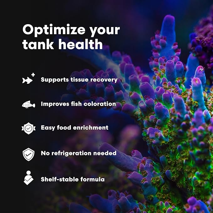 Brightwell Aquatics AminŌmega Amino Acid Omega-3 6 Supplement for Enriching Live Prepared Foods Supports Color Growth Recovery in Marine Fish Corals Inverts, 500 ml