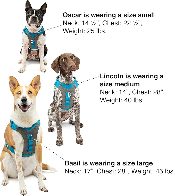 Kurgo Journey Air Dog Harness - Secure Fit for Active Dogs - Padded Chest - Lightweight Ripstop Fabric - Breathable Mesh - Reflective Trim - Back Assist Handle - Orange - Small