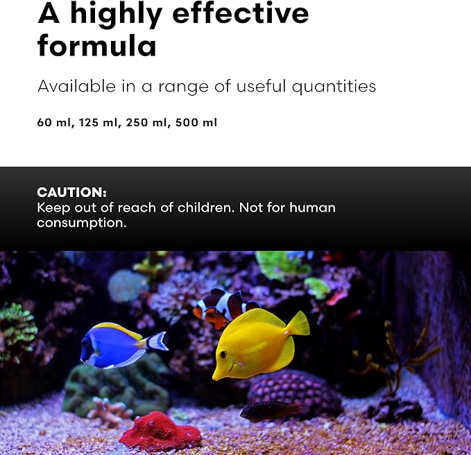 Brightwell Aquatics AminŌmega Amino Acid Omega-3 6 Supplement for Enriching Live Prepared Foods Supports Color Growth Recovery in Marine Fish Corals Inverts, 125 ml