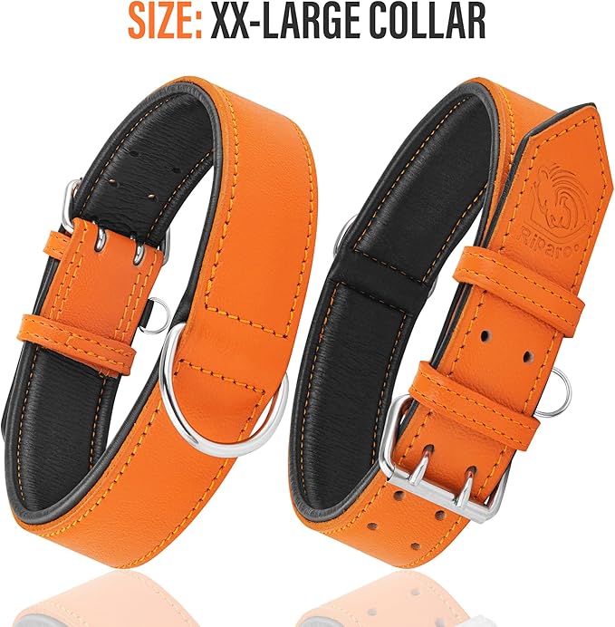 Riparo Orange Leather Dog Collar - Heavy Duty Wide Dog Collar for Small, Medium, Large and Extra Large Dogs with Dog Tag Holder (M: 1" Wide for 13.5”-17.5” Neck, Orange)