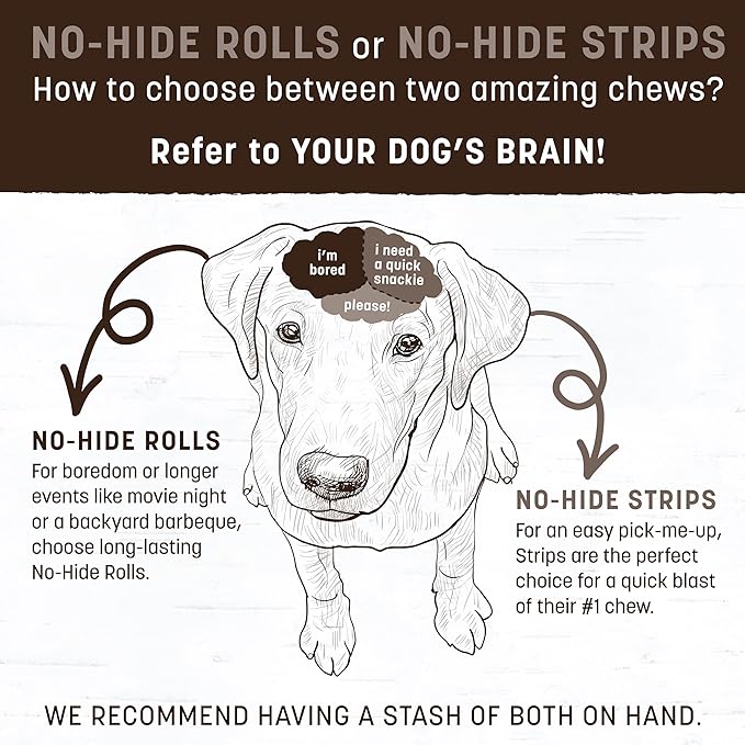 Earth Animal No-Hide Rolls Mango Vegetarian Recipe Medium Natural Rawhide Alternative Dog Chews - 3 Count Value Pack