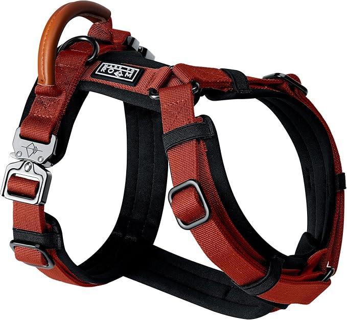 MADE TO ROAM Premium Explorer Harness - Y-Shaped Dog Harness with Adjustable Durable Nylon, Soft Padding, Metal Buckles and Leather Handle for Small, Medium, Large Dogs (Texas Flair, Size 3)