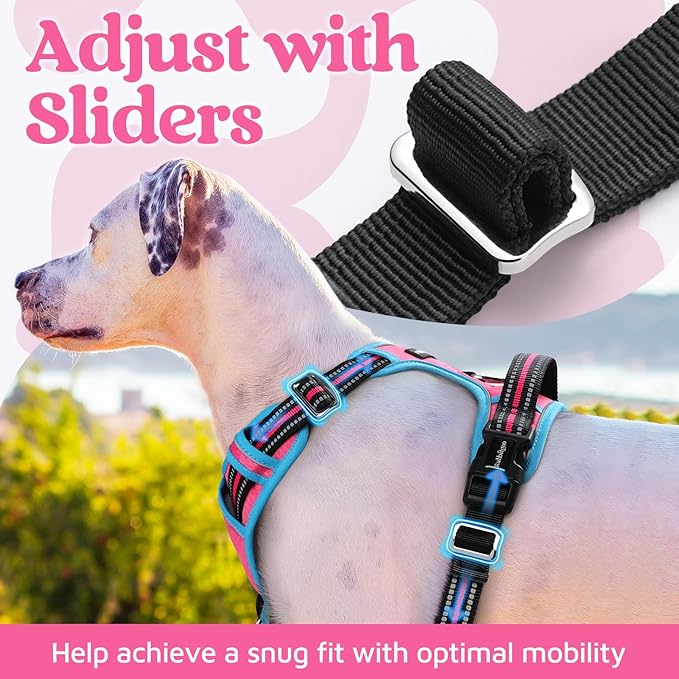 rabbitgoo Dog Harness for Large Dogs, No Pull Pet Vest with 3 Buckles, Adjustable Soft Padded Pet Harness with Easy Control Handle and Reflective Strips, Rose Pink & Blue, L