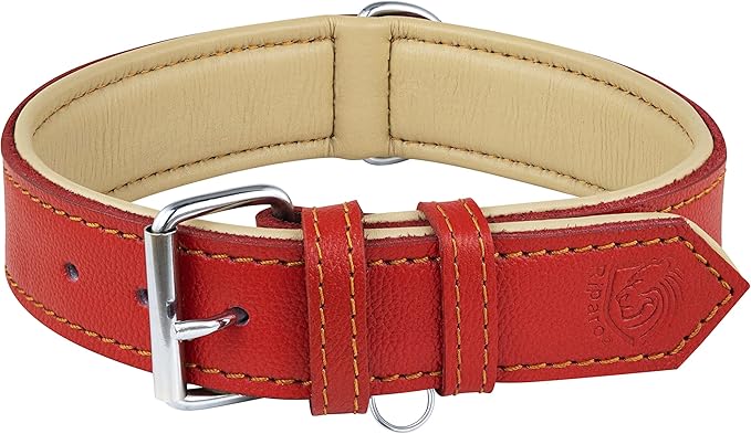 Riparo Red Leather Dog Collar - Heavy Duty Wide Dog Collar for Small, Medium, Large and Extra Large Dogs with Dog Tag Holder (XXL: 2” Wide for 26”-29” Neck, Red)