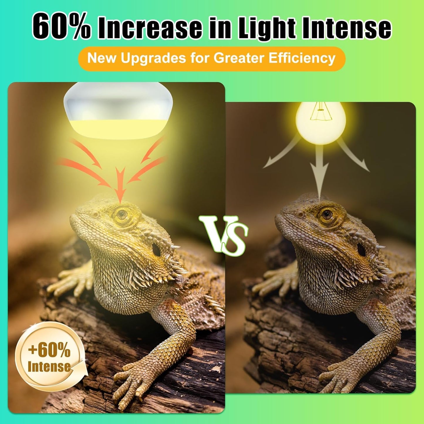 Reptile Heat Lamp 2Pack 50W, Intense Basking Spot Light Bulb with UVA, Simulate Natural Daylight Heat Bulb for Reptile, Turtle, Bearded Dragon, Lizard, Tortoise, Gecko, Snake