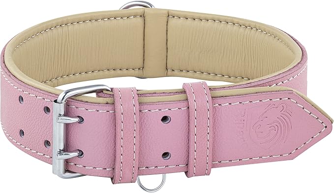 Riparo Adjustable Leather Dog Collar - Heavy Duty Wide Dog Collar for Small, Medium, Large and Extra Large Dogs with Dog Tag Holder (XXL: 2” Wide for 26”-29” Neck, Pink)