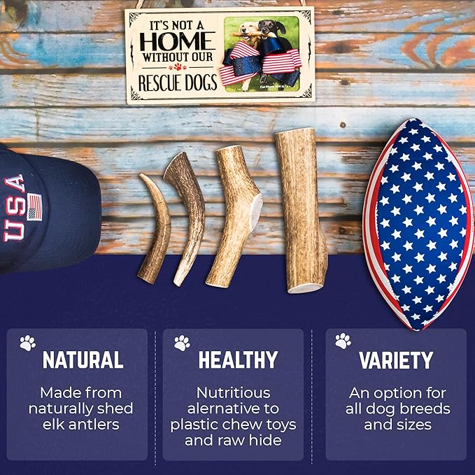 Devil Dog Pet Co. Elk Antlers for Dogs, Jumbo 8"+, 1 Pack, Grade A Long Lasting Chew for Aggressive Chewers, Premium USA Naturally Shed Antler – Healthy, No Odor, Durable Dog Chew