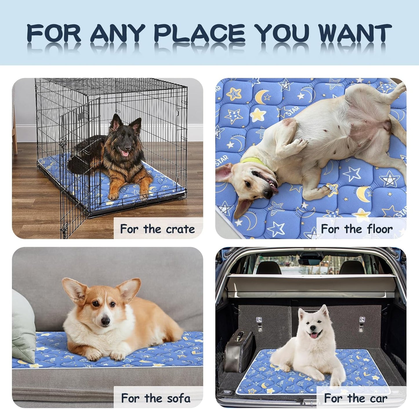 Bubble bear Dog Crate Mat - Ultra Soft, Washable & Anti-Slip Kennel Pad for Small/Medium/Large Dogs, Dark-Hued to Hide Stains (42"x28")