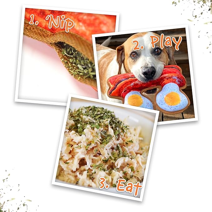 Doggijuana Tuffer Chewer Plush Dog Toy | Funny Dog Toy Plush with Juananip Catnip for Dogs | Calming Aid for Dogs | Interactive Squeaky Chew Toy for Play (Eggs & Bacon)