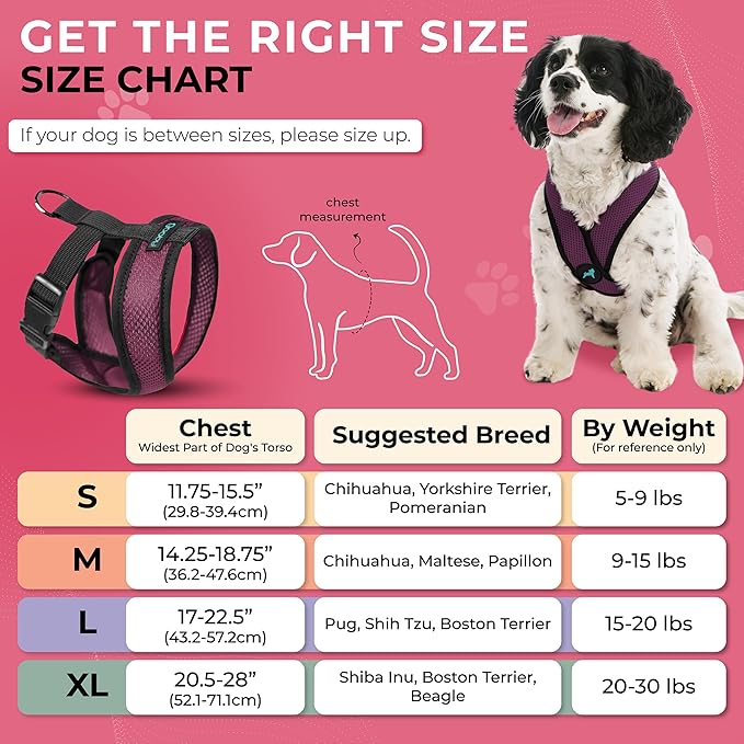 Gooby Comfort X Head in Harness - Purple, Small - No Pull Dog Harness with Patented Choke-Free X Frame for Small to Medium Dogs Indoor/Outdoor Use