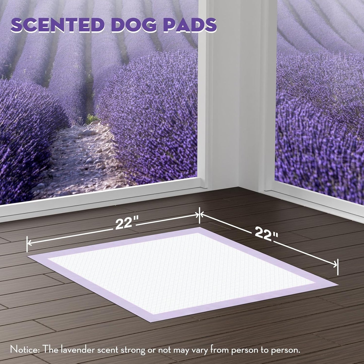 CROCI Puppy Pads 22x22in Small with Adhesive Tabs, Dog Pee Pads Absorbs Up to 3 Cups Potty Training, Disposable (100 Counts)