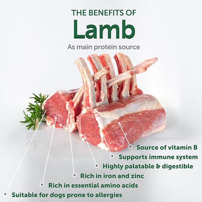 Nature's Protection Small Breed Dry Dog Food - High Protein, Grain Free, Natural Tear Stain Diet - Small Bites Dry Dog Kibble for Adult Dogs with Red Fur (Superior Care - Lamb, 22 lb)