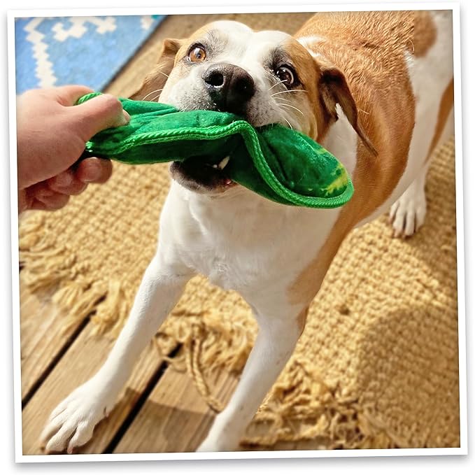 Doggijuana Tuffer Chewer Plush Dog Toy | Funny Dog Toy Plush with Juananip Catnip for Dogs | Calming Aid for Dogs | Interactive Squeaky Chew Toy for Play (Dill Pickle)