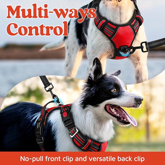 rabbitgoo Dog Harness Small Sized, No Pull Dog Vest with 3 Buckles, Adjustable Soft Padded Pet Harness with Easy Control Handle and Reflective Strips, Red, S