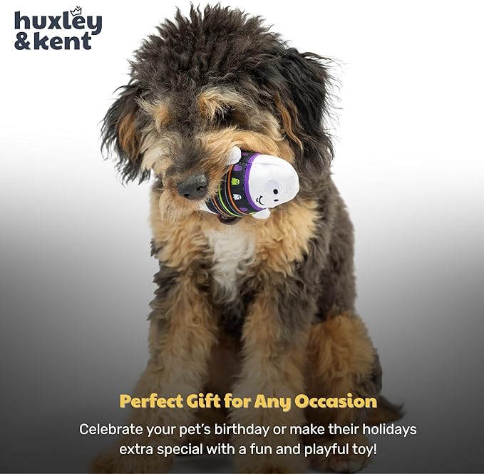Huxley & Kent Halloween Funny Dog Toy w/Squeaker – Power Plush Squeaky Dog Toys for Small Dogs – Durable Small Stuffed Animal for Indoor Play & Fetch - Tiny Tuff Boo Buddies 2pk
