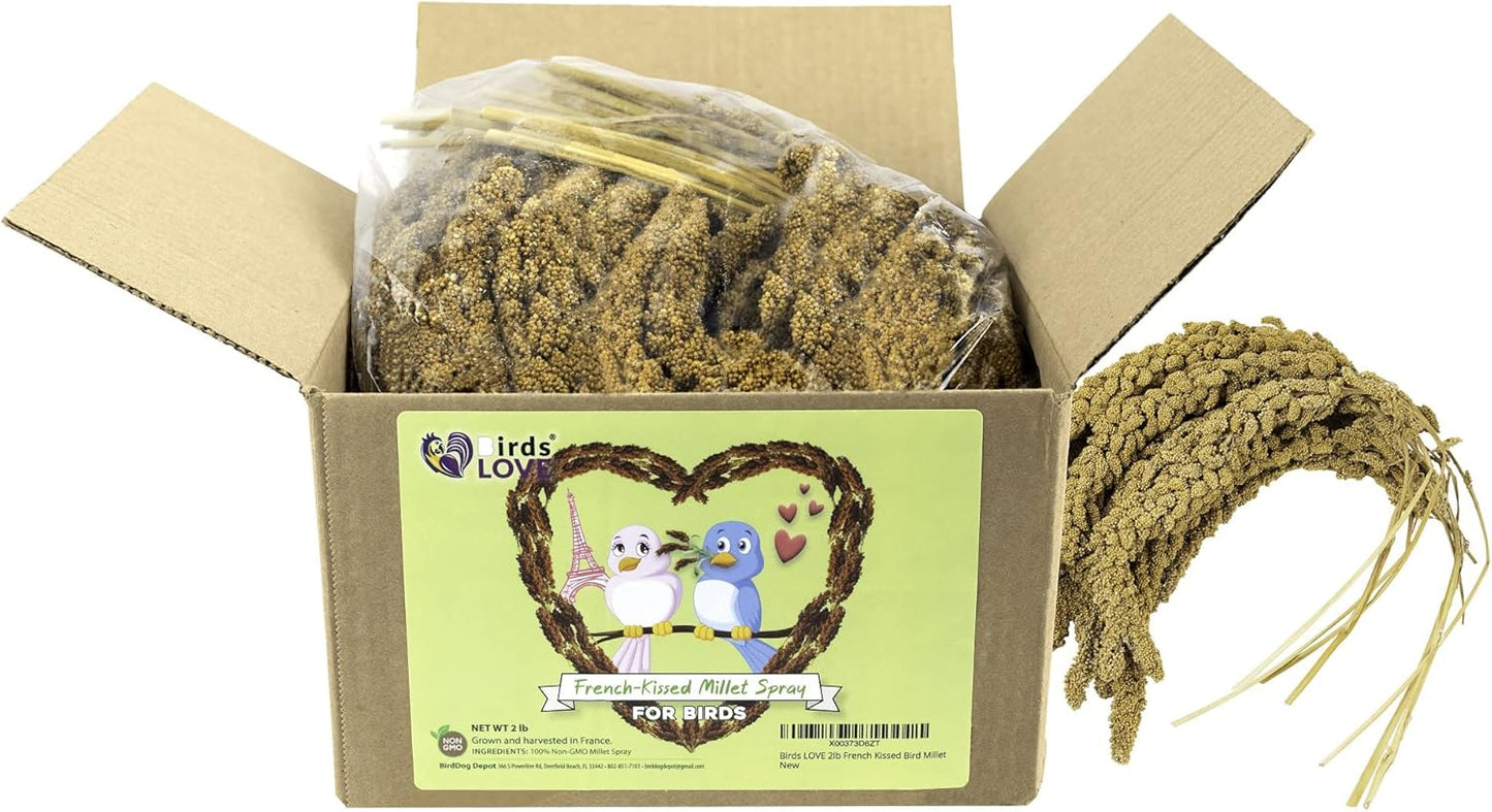 Birds LOVE French Kissed Spray Millet for Birds - Parakeets, Cockatiels, Lovebirds, Finches, Budgies, Canaries, Cockatoos - Natural & Healthy Bird Millet - Parakeet Food & Treats for All Parrots 2lbs