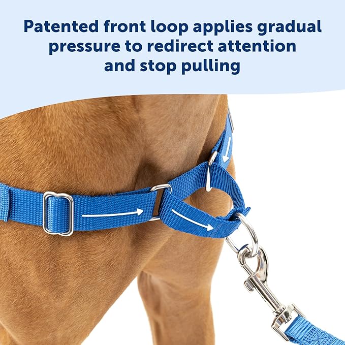 PetSafe Easy Walk No-Pull Dog Harness - The Ultimate Harness to Help Stop Pulling - Take Control & Teach Better Leash Manners - Helps Prevent Pets Pulling on Walks, Medium/Large, Raspberry/Gray