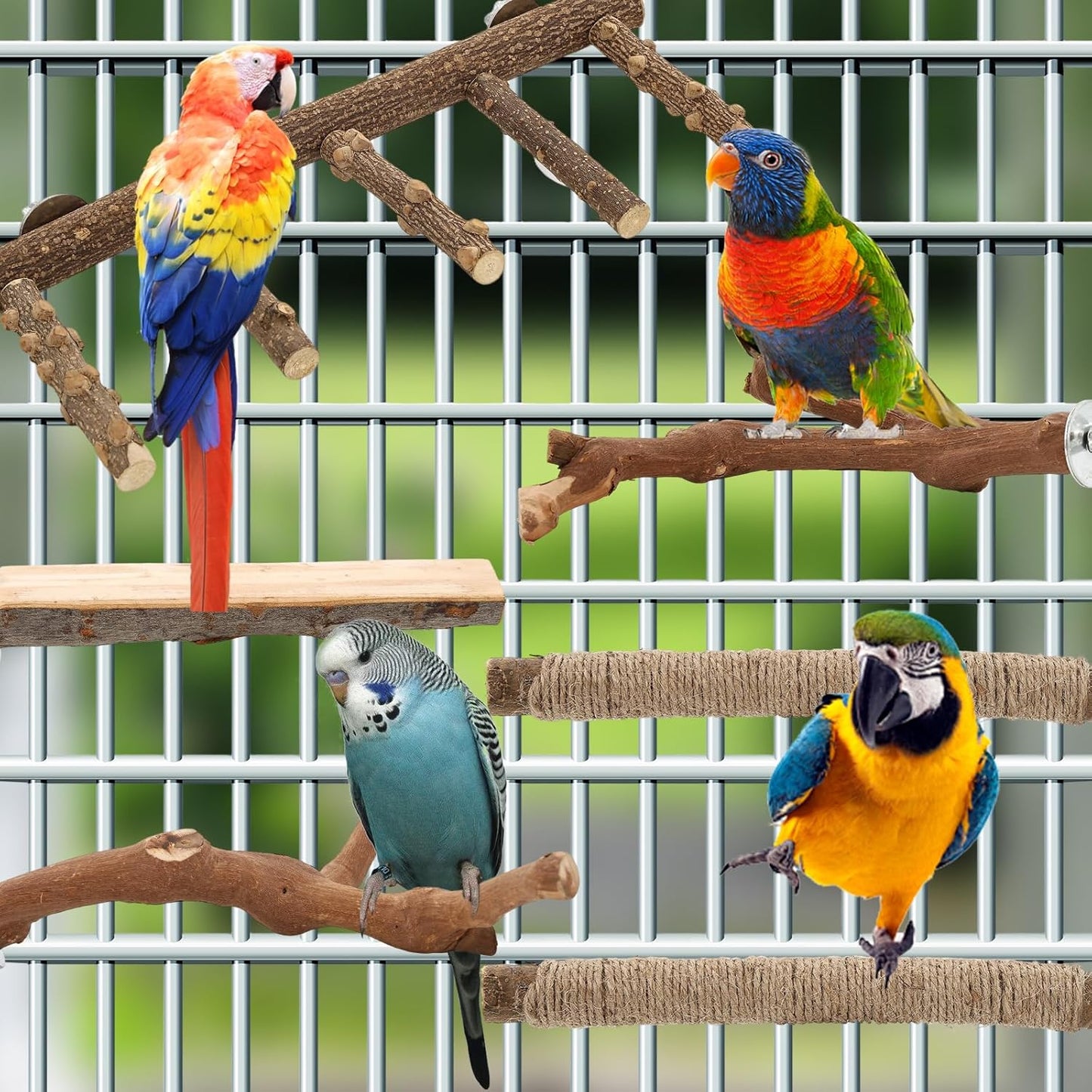 Bird Ladder Perches for Cage, Pole Standing Natural Wood Birds Perch Set, Climbing Chewing Toys, Paw Grinding Fork Parrot Cage Branch with Rope for Macaw Budgie Lovebirds