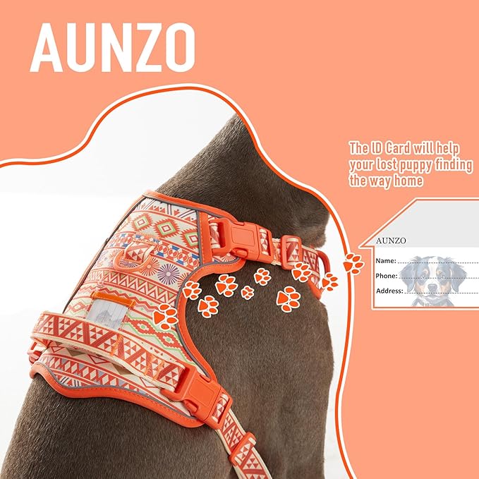 No Pull Dog Harness for Large Dogs with 2 Metal Clips, Easy On/Off with Neck Buckle, Heavy Duty Adjustable Puppy Vest, Breathable Pet Harness with Easy Control Handle, Orange Ethnic L