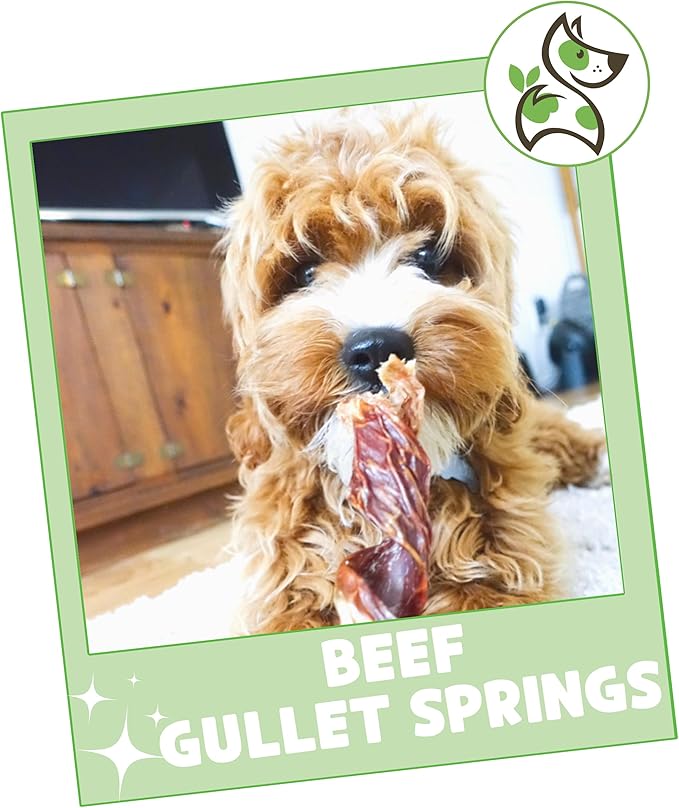 Nature Gnaws Beef Gullet Springs for Dogs 7-8" (6 Count) - Natural Beef Jerky Stick Dog Chew Treats - Rawhide Free