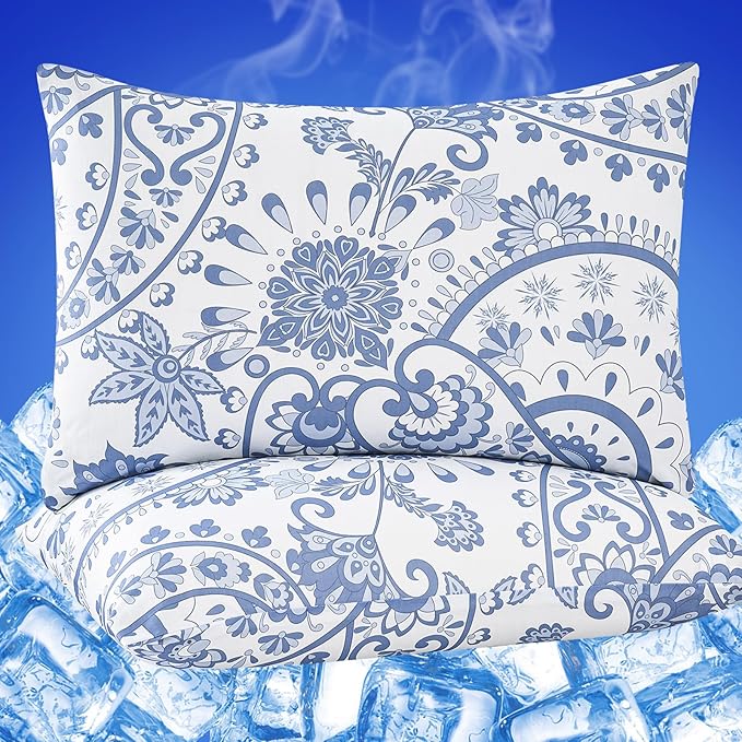 Cooling Pillow Cases for Hot Sleepers - Double Side Arc-Chill Q-Max>0.5 Cooling Fiber Cool Pillow Cases 2 Pack - Breathable Soft Cold Pillow Cases with Hidden Zipper (20" x 30")
