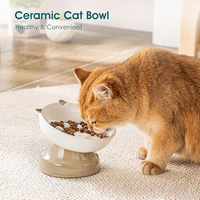 vancasso Raised Slow Feeder Cat Bowls, Ceramic Elevated Cat Bowls Wet Food, Cats Food Bowl Slow Feeder for Indoor Cats (Brown)