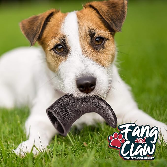 Water Buffalo Horn Dog Chew 4 Pack - Large 8" - All Natural Free Range Grass Fed Single Source Protein - No Chemicals, Additives, Hormones - Long Lasting, Good for Aggressive Chewers – by Fang & Claw