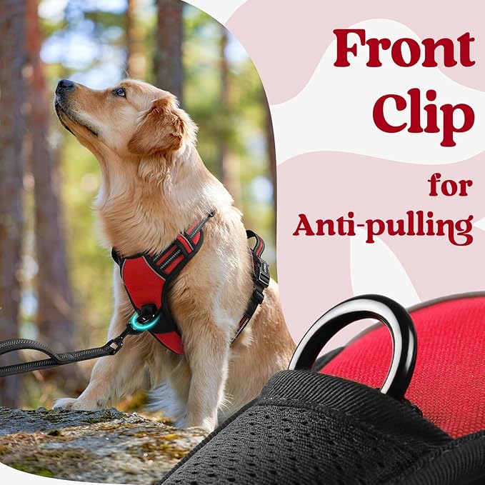 rabbitgoo Dog Harness Small Sized, No Pull Pet Harness with 3 Buckles, Adjustable Soft Padded Vest with Control Handle, Walking Reflective Pet Vest for Small Dogs, Red, S