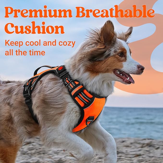 rabbitgoo Dog Harness for Large Dogs, No Pull Pet Harness with Soft Padded Handle, Adjustable Reflective Vest with 3 Buckles, Easy Walking Harness with 2 Leash Clips, Orange, M