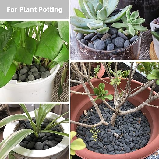 7lb Natural River Rocks Pebbles for Plants & Succulents, Decorative Outdoor Landscaping Garden Rocks, Mexican Beach Pebbles for Aquarium & Vase Decor