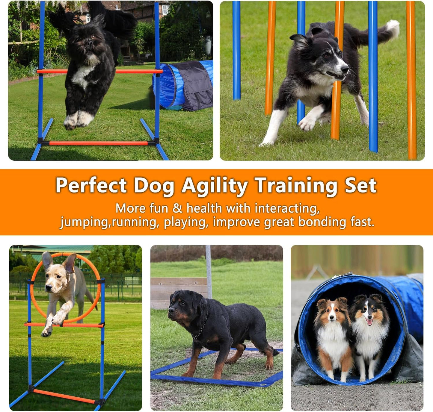 Dog Agility Training Equipment Set Outdoor Indoor Game, Tire Jump + Hurdle Jump, Tunnel, Weave Poles, Pause Box, 2 Toy Balls, 2 Flying Discs, 1 Whistle, 1 Bag, Backyard Premium Dog Obstacle Course Kit