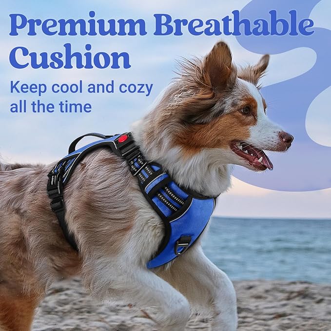 rabbitgoo Dog Harness for Large Dogs, No Pull Pet Harness with Soft Padded Handle, Adjustable Reflective Vest with 3 Buckles, Easy Walking Harness with 2 Leash Clips, Blue, M